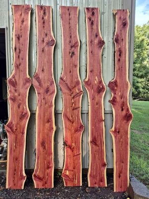 Cedar slabs 1x10x8 $20 each