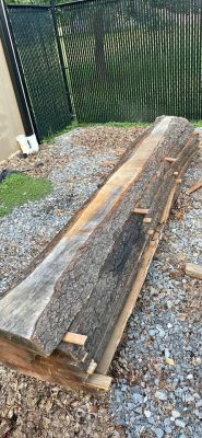 Live edge slabs