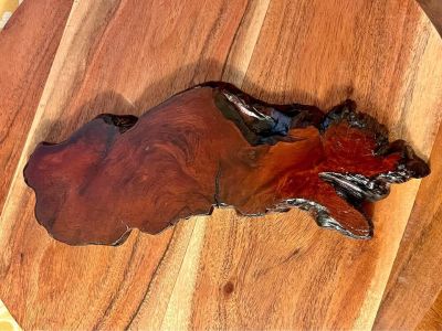 Wooden Burl Slab