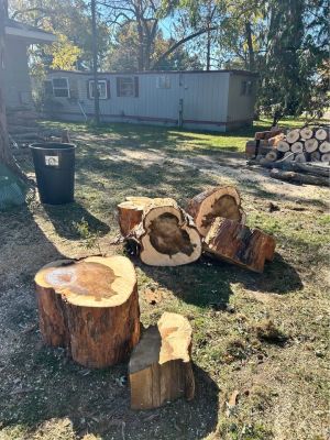 Spalted Maple slabs