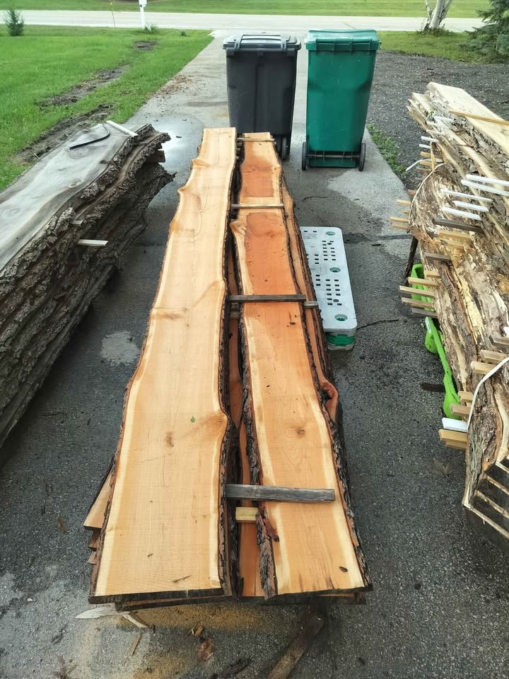 Live edge slabs - Image 4