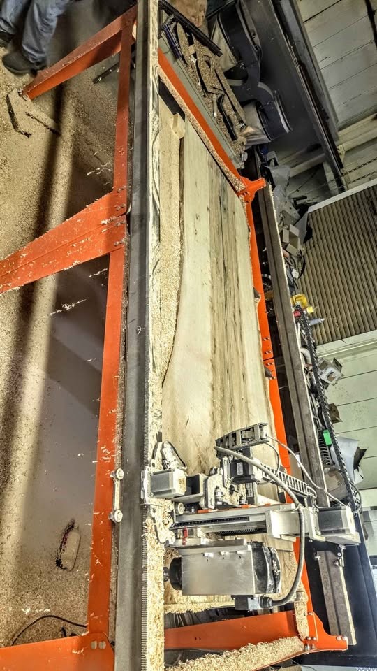 Exotic Elder Wood Slab - Image 2