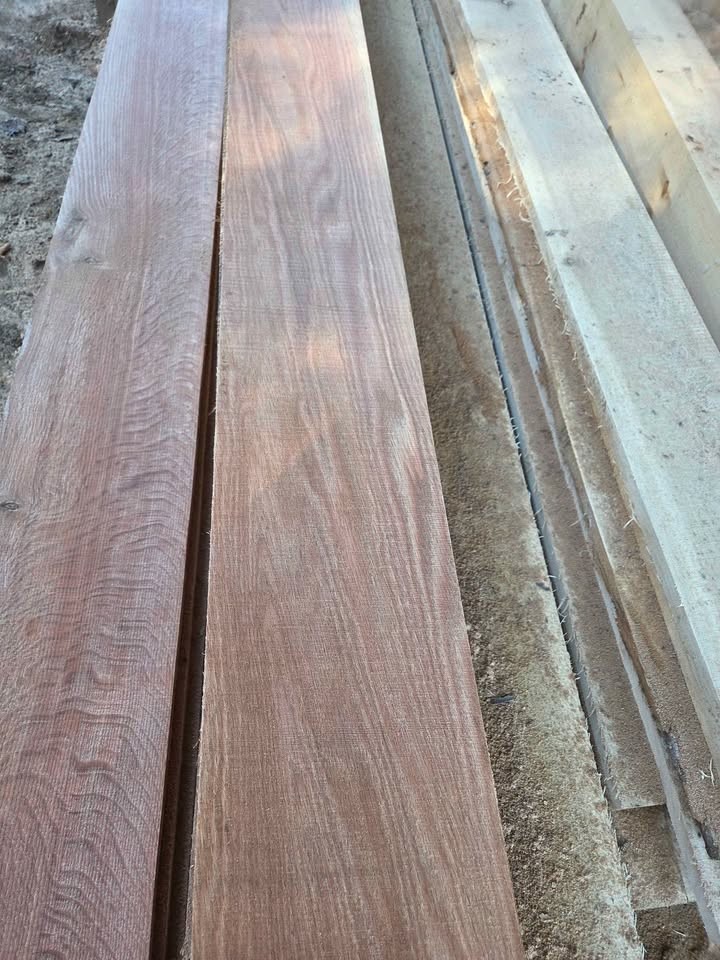 Red oak - Image 3