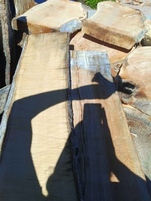 Trailer full of Sycamore sun dried slabs&rounds