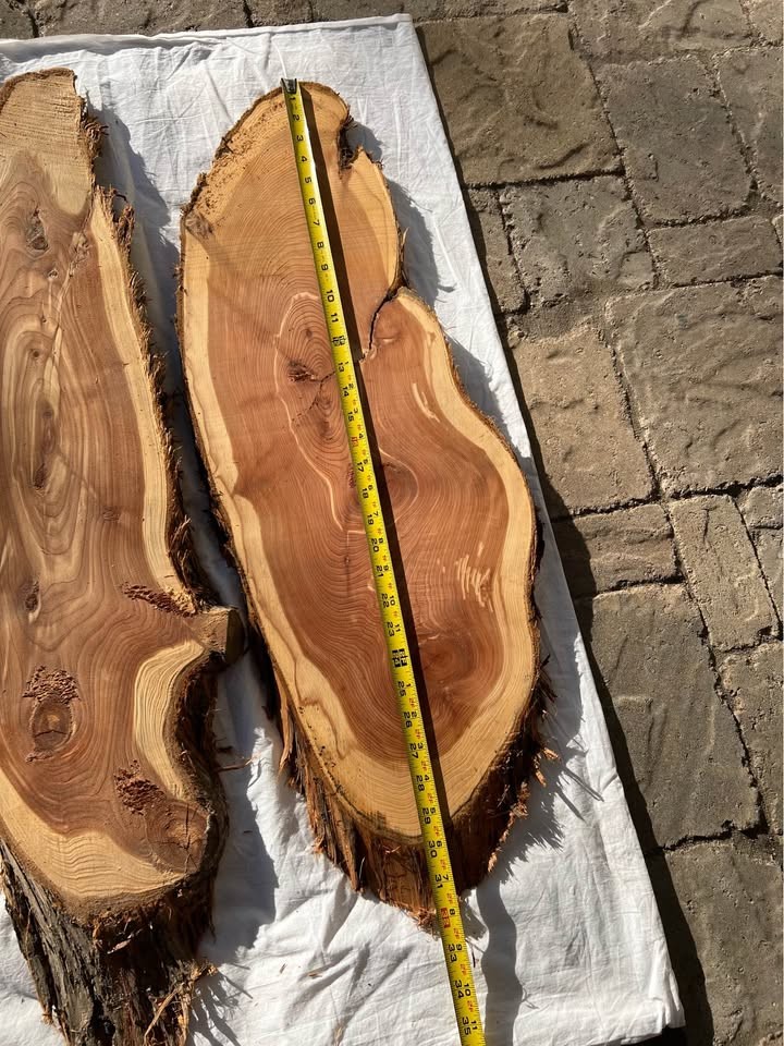 Live Edge Cedar Wood Slices/slabs - 
Individual or the Lot - Image 8