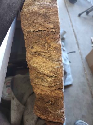 Large Arizona Juniper Live Edge Slab / Wood Cookie – 3" Thick