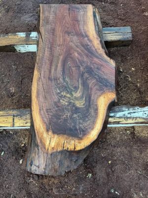 Live Edge Slab Wood/ Lumber For Sale