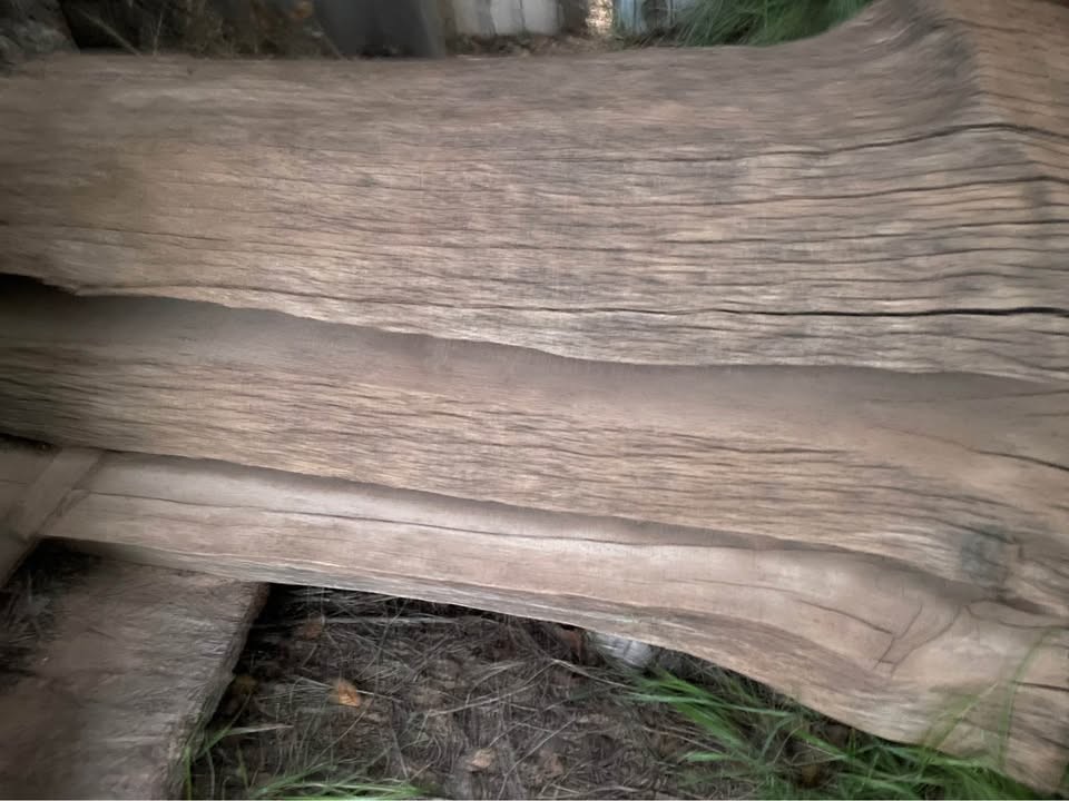 Wood slabs - Image 2