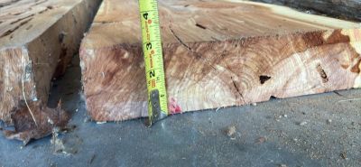 3” thick slabs of Cedar