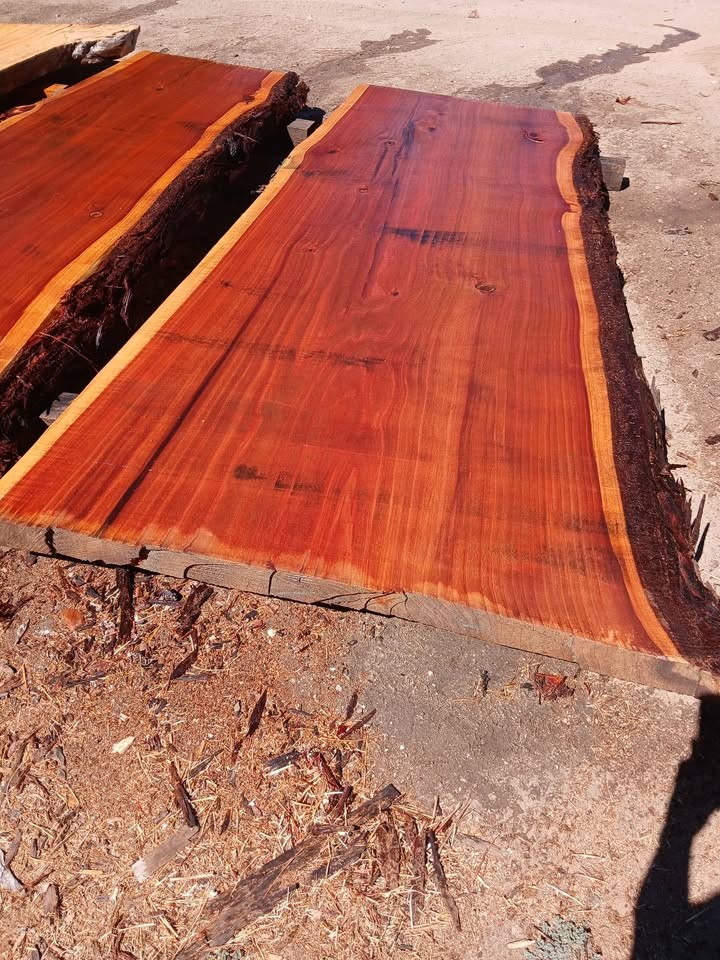 3"thick X 36"X 12ft cedar - Image 2