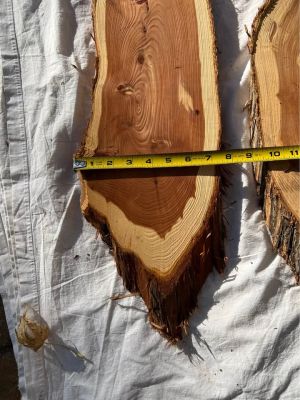 Live Edge Cedar Wood Slices/slabs - 
Individual or the Lot
