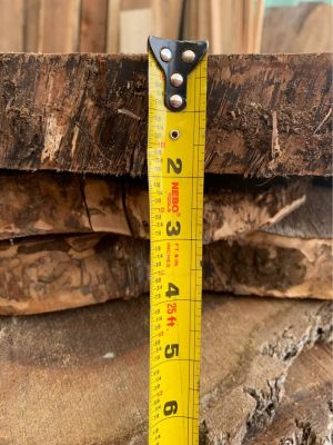 Black Walnut End Grain Slabs - Walnut Cookies