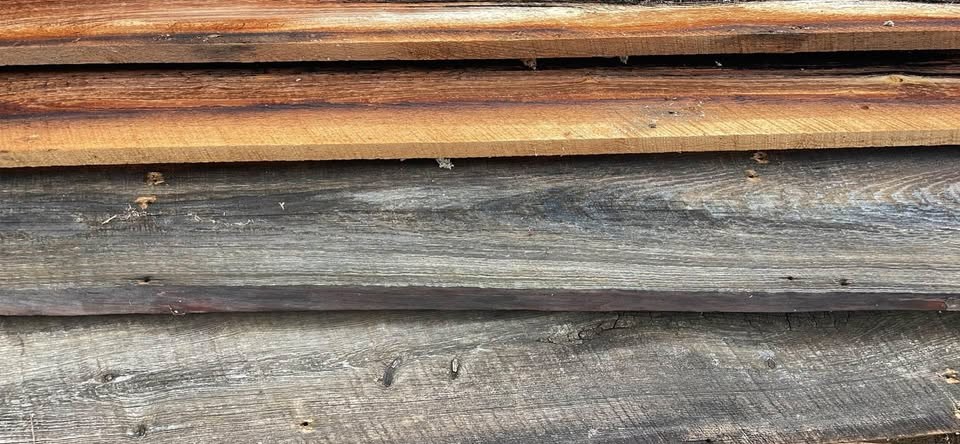 Live Edge Pine Siding or Craft Wood - Image 2