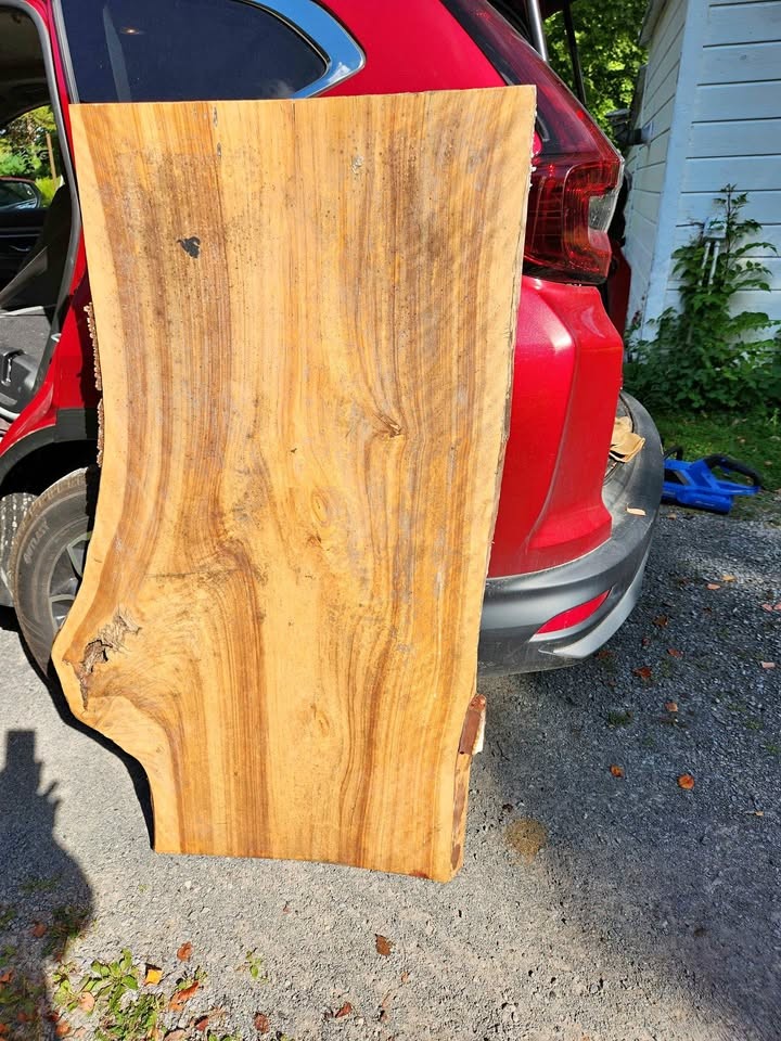Live Edge Wood Slab - Image 1