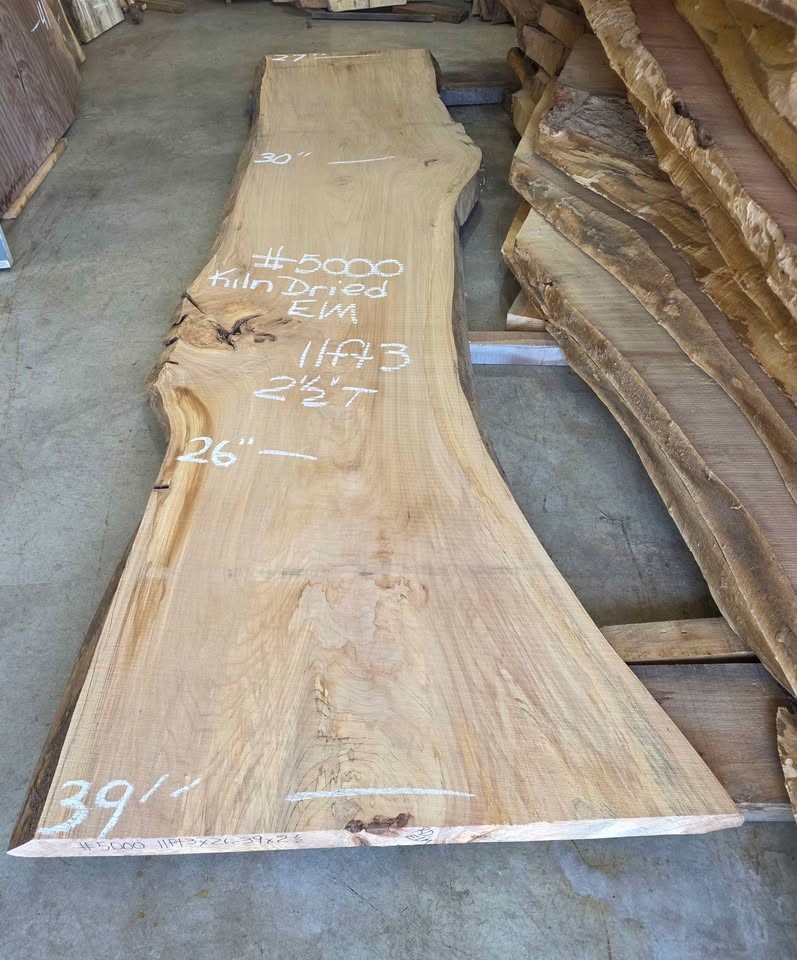 Kiln Dried Red Elm Slabs featuring a Bold Grain, with Rich Honey-Amber and Reddish-Brown deep tones! - Image 2