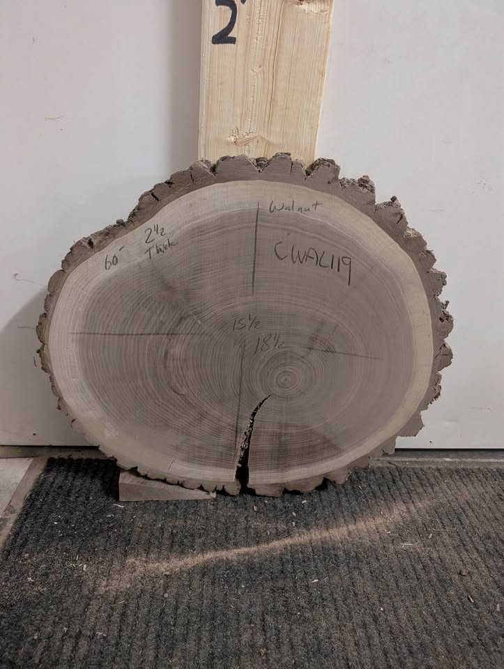 Hundreds of kiln dried & flattened wood slices - Image 10