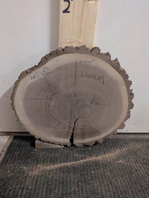 Hundreds of kiln dried & flattened wood slices