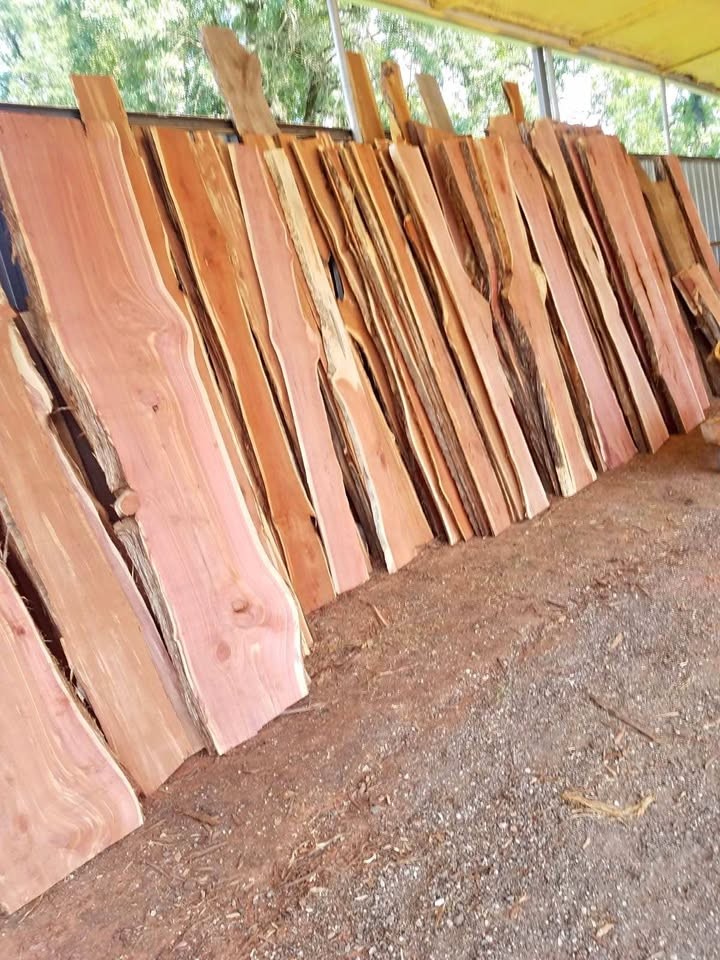 AROMATIC RED CEDAR