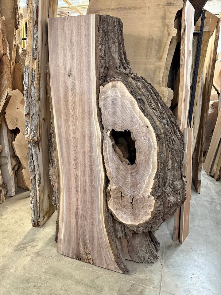 Walnut Burl slabs kiln dried and surfaced - Image 1