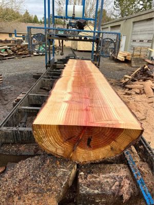 Sequoia Slabs