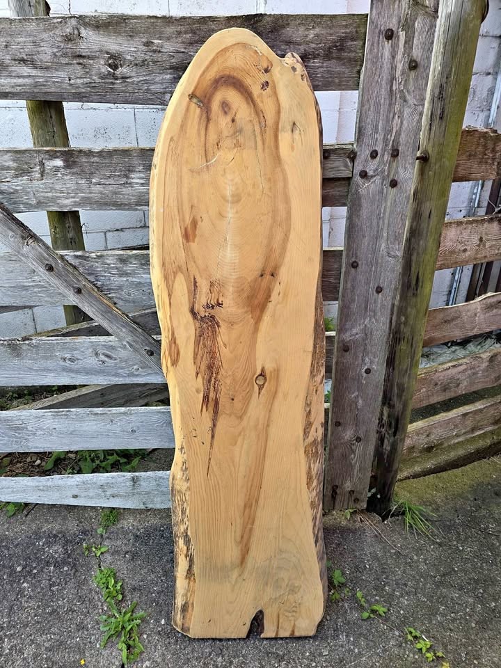 Hardwood slab - Image 1