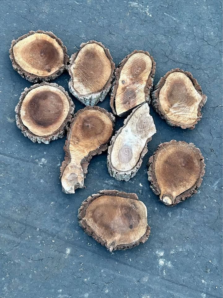 Live Edge Walnut Wood Cookie Rounds $2 each - Image 1