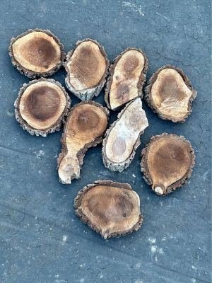 Live Edge Walnut Wood Cookie Rounds $2 each