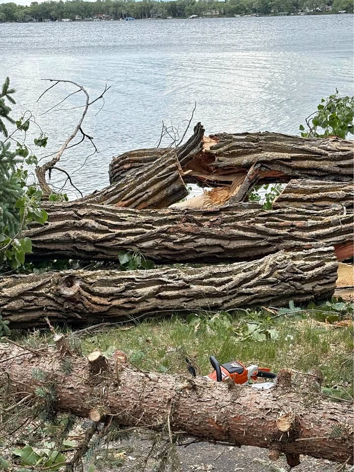 Large pieces 8-10 ft chunks of wood from down trees from storm - Image 1