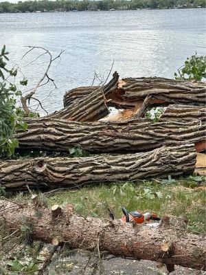 Large pieces 8-10 ft chunks of wood from down trees from storm