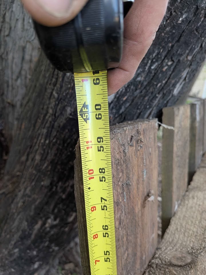 FREE Lumber - Image 3