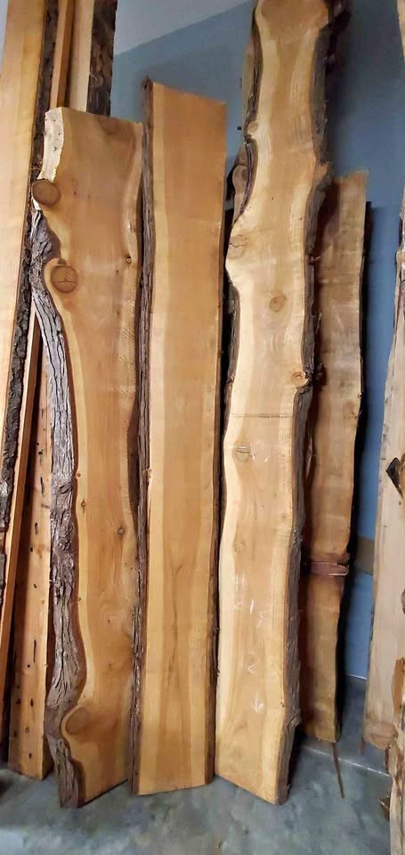 Cedar live edge slabs, kiln dried - Image 1