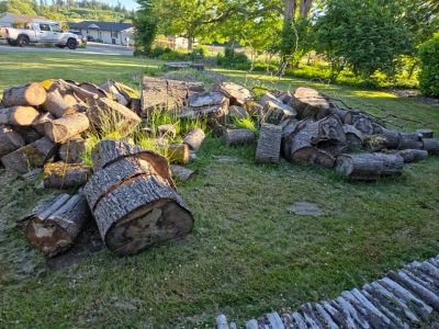 Huge Pile of Maple Rounds (Up to 48”) – TAKE ALL ONLY (Sale or Trade for Lawn Care)