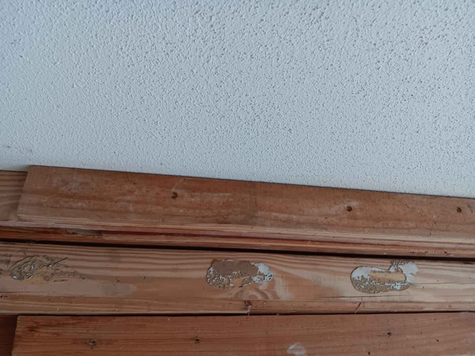 Wood - Image 2