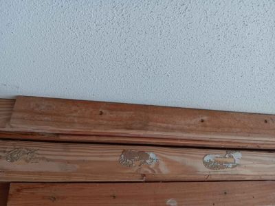 Wood