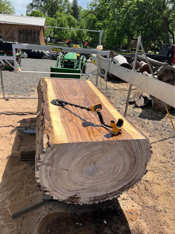 Black Walnut Live Edge Slabs - Image 2