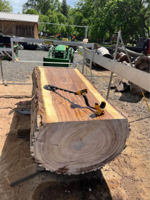 Black Walnut Live Edge Slabs