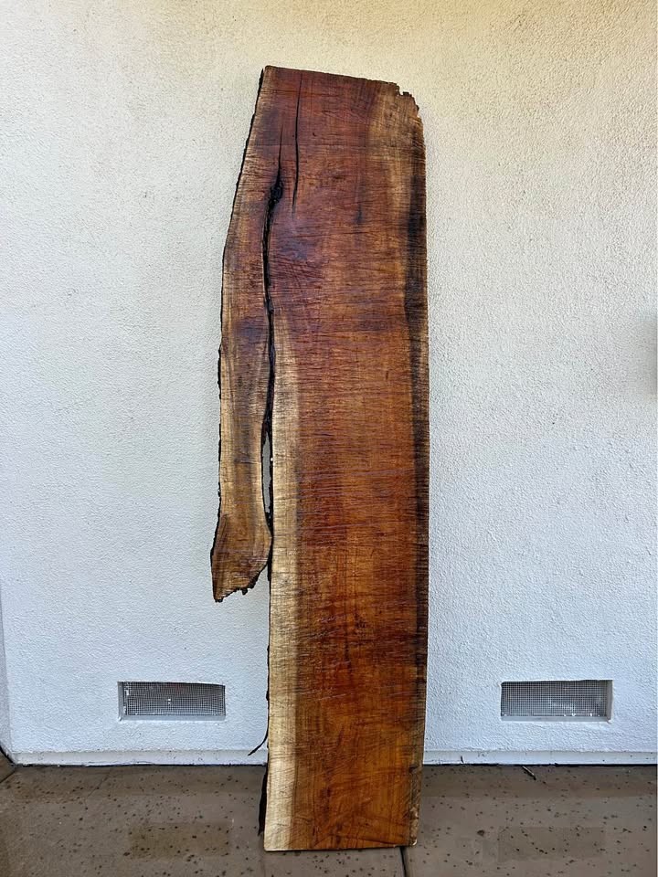 Tasmanian Blackwood (Acacia) expensive Hardwood Live slab! PLEASE READ DESCRIPTION! - Image 1