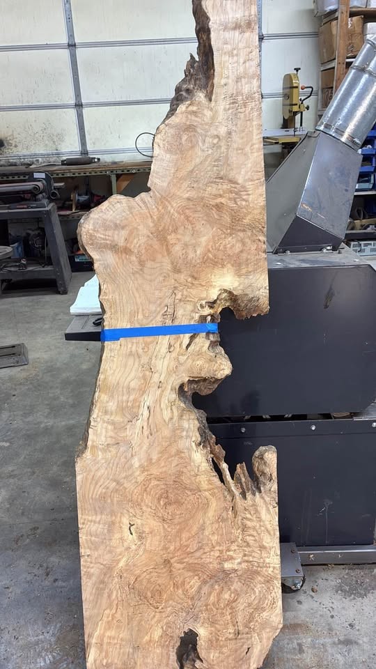 #22 Highly figured big leaf maple slab- kiln dried - Image 5
