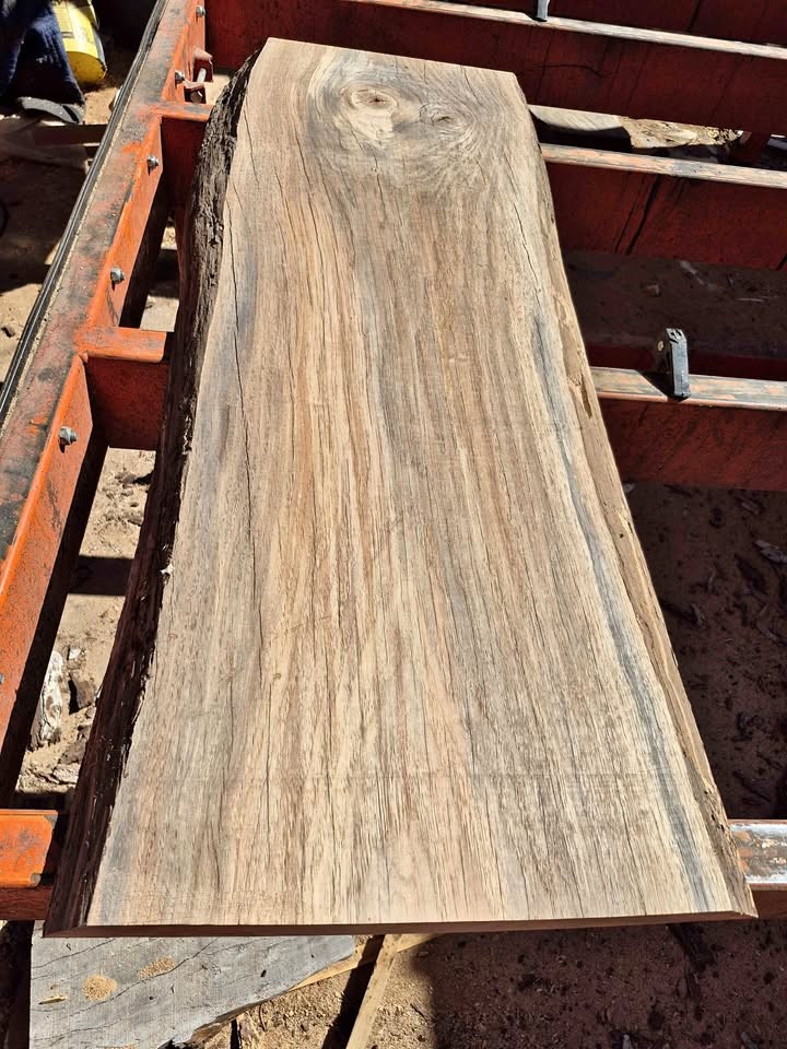Live edge pecan slab