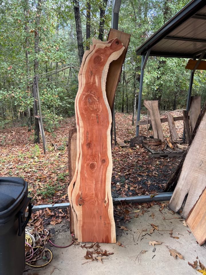 Unique cedar slabs - Image 2