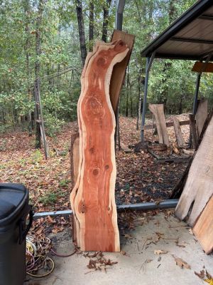Unique cedar slabs
