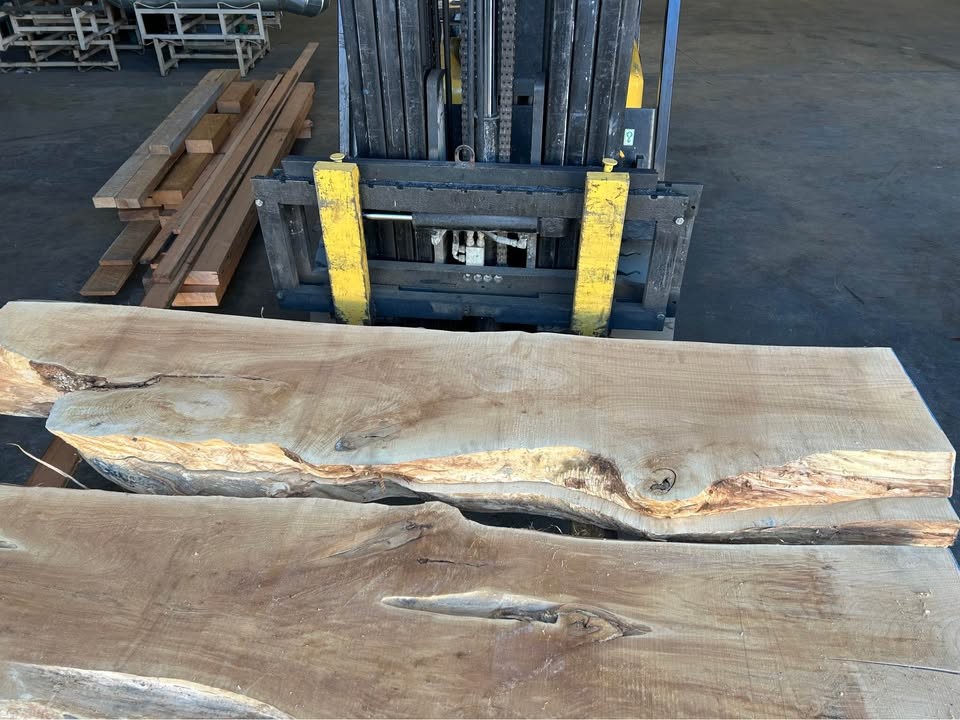 Live edge maple slabs - Image 4