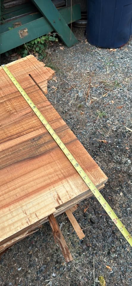 Redwood Cedar slabs - Image 3