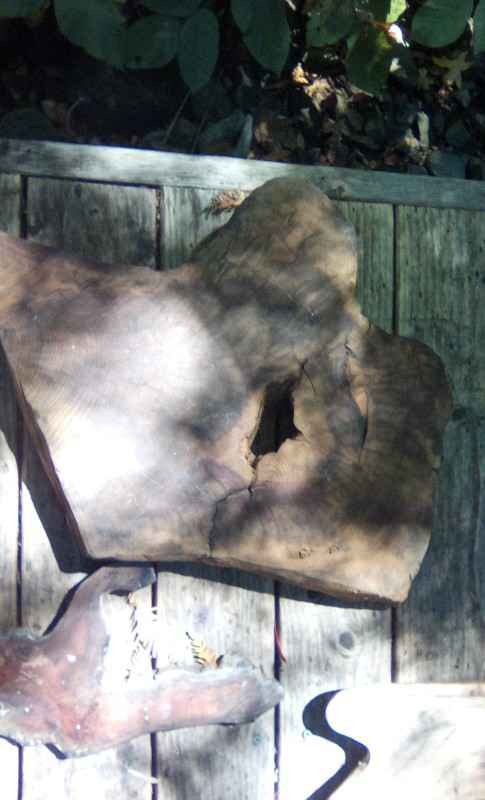 Live Edge Wood Slabs for Woodworking - Image 5