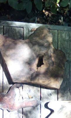 Live Edge Wood Slabs for Woodworking