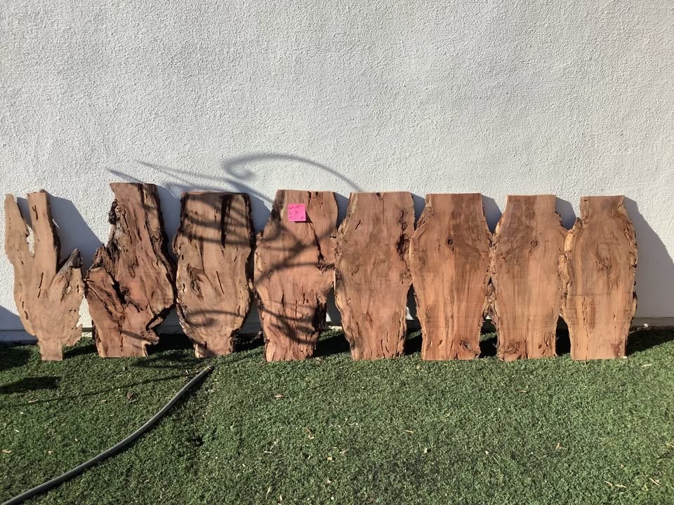 Mesquite burl slabs, - Image 2