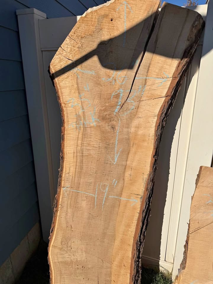 Live Edge Wood Slab - Image 1