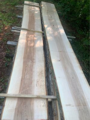 Live Edge Sugar Maple Boards