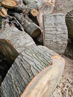 Slab wood