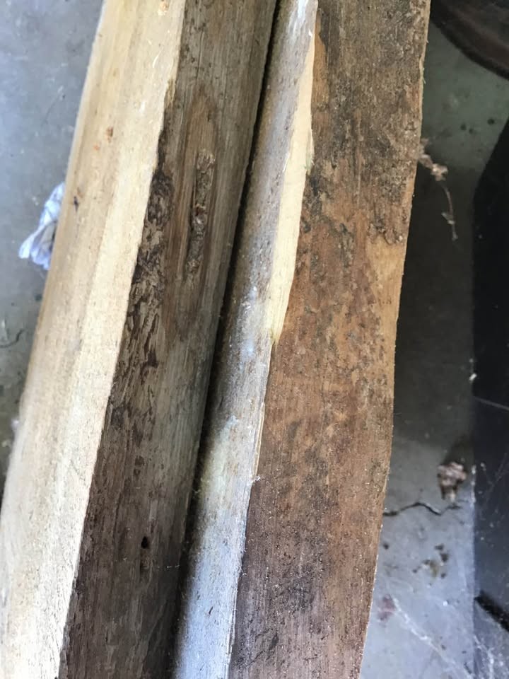 Wood slabs - Image 2